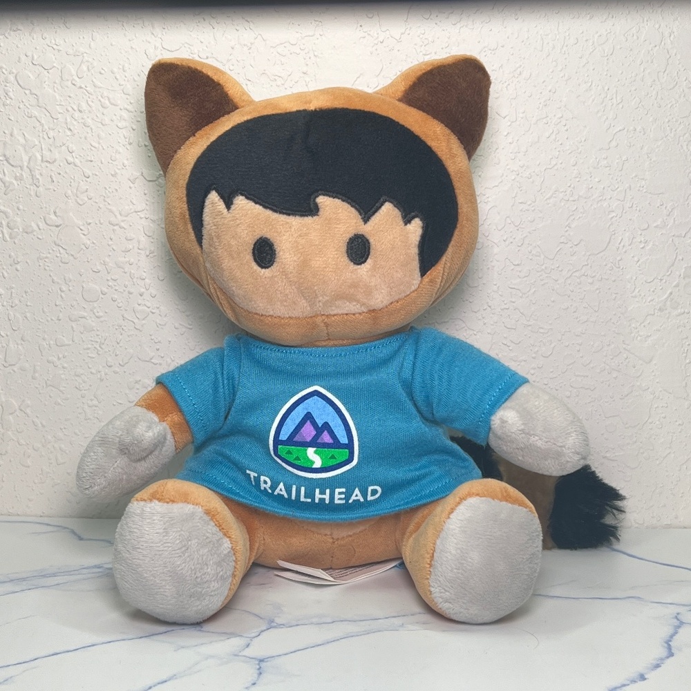 Salesforce Trailhead Raccoon Boy Plush Stuffed Animal